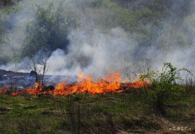 Lesné požiare v Alberte poškodili značnú časť mesta Fort McMuray
