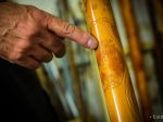 Fujara, Terchovská muzika a gajdy sú v svetovom zozname UNESCO