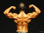 Kulturistika a fitnes: Štiglic strieborný medzi klasikmi do 175 cm