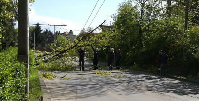 FOTO: V Žiline upchal dopravu padnutý strom