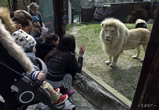 Pri príležitosti Dňa matiek slávnostne otvoria v zoo dojčiacu zónu