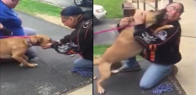 Video: Stratený psík sa po dvoch rokoch zvíta so svojim majiteľom