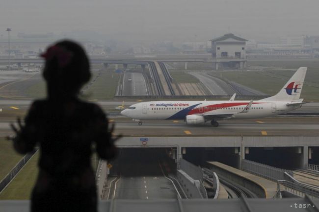 Pár, ktorý pri zostrelení letu MH17 prišiel o 3 deti, má dcérku