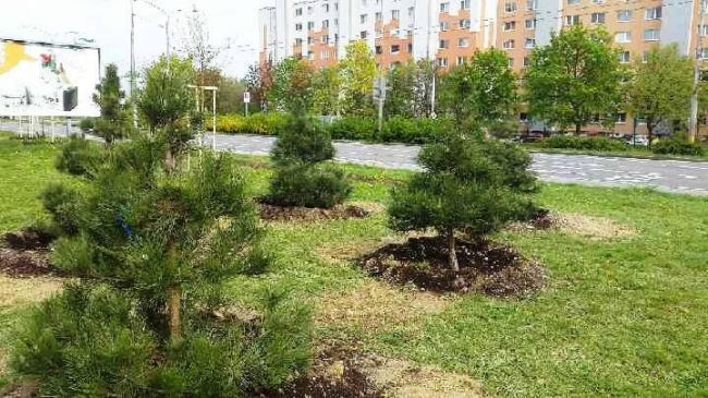 Počet okrskárov vo Vrakuni a P. Biskupiciach sa zvyšuje o dvoch
