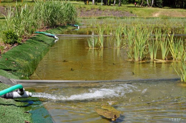 Letná sezóna na Sninských rybníkoch by sa mala začať už 11. júna