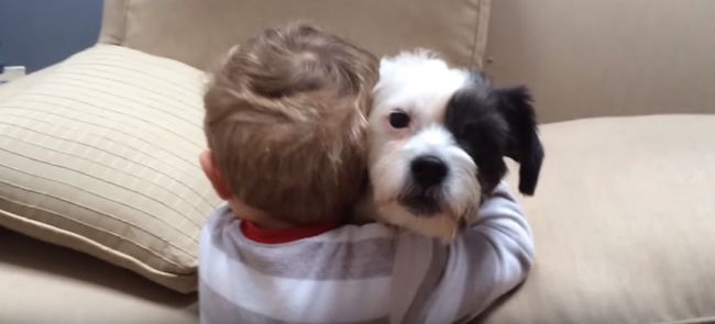 Video: Psík sa nechce hrať, no chlapček ho má rád aj tak