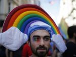 Gruzínska polícia zadržala bojovníkov za práva gejov a lesieb