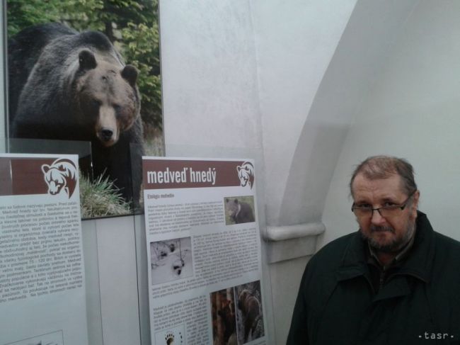 Počas Noci múzeí a galérií môžno navštíviť 106 inštitúcií v 65 mestách