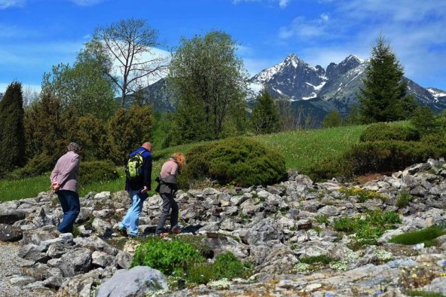Klimatické zmeny lesom na území TANAP vôbec neprospievajú