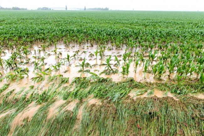 Zmena klimatických podmienok si vyžiada reštrukturalizáciu agrosektora