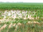 Zmena klimatických podmienok si vyžiada reštrukturalizáciu agrosektora