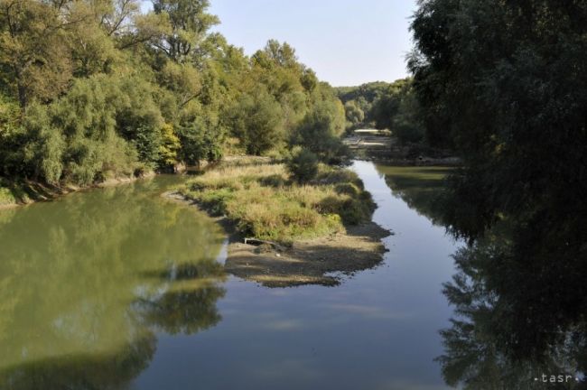 Bratislava víta ponuku na správu Sihote, ale nie výmenou lesov