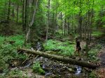 Záchranári v Slovenskom raji pomáhali dvom vyčerpaným turistkám