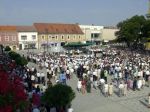 Tribečské múzeum prezentuje Stredoveké nálezy zo stredného Ponitria