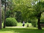 VIDEO: V areáli Pasteurovej nemocnice je historický francúzsky park