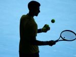 Djokovič nesúhlasí s presunutím či zrušením olympiády
