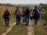 V tábore v južnom Maďarsku sa vzbúrili migranti; zasahujú policajti