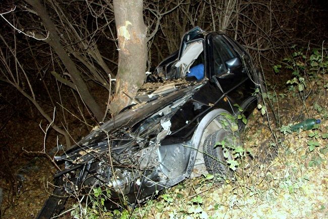 Tragédia: Mladá vodička narazila autom do stromu, nehodu neprežila