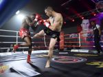 Európska liga W5 v kickboxe: Prievidzký večer v réžii Slovákov