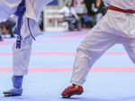 Slovenskí karatisti si odnášajú z Dublinu 11 titulov majstra sveta