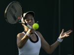Kovalík, Lacko a Čepelová postúpili do finále kvalifikácie Wimbledonu