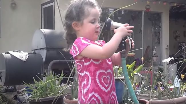 Video: Dievčatko, ktoré bolo až príliš zvedavé