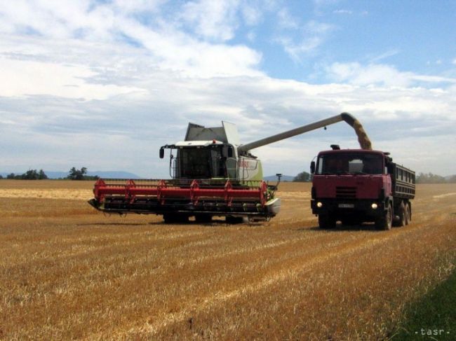 Brexit nebude mať veľký vplyv na slovenský agropotravinárstvo