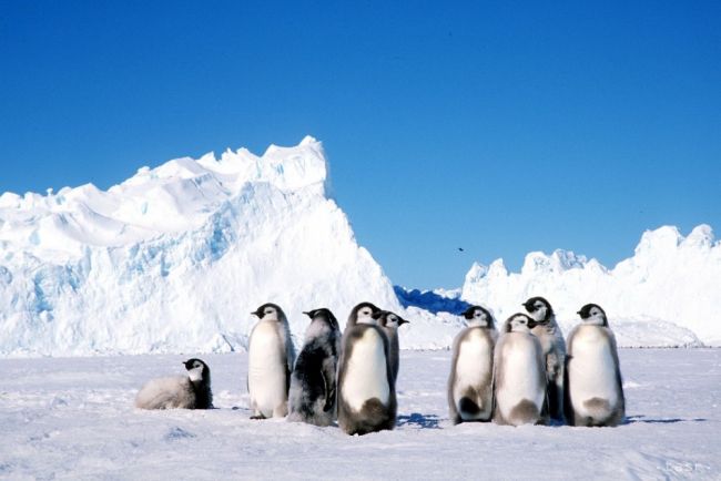 Stenčovanie ozónovej vrstvy nad Antarktídou sa postupne spomaľuje