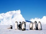 Stenčovanie ozónovej vrstvy nad Antarktídou sa postupne spomaľuje