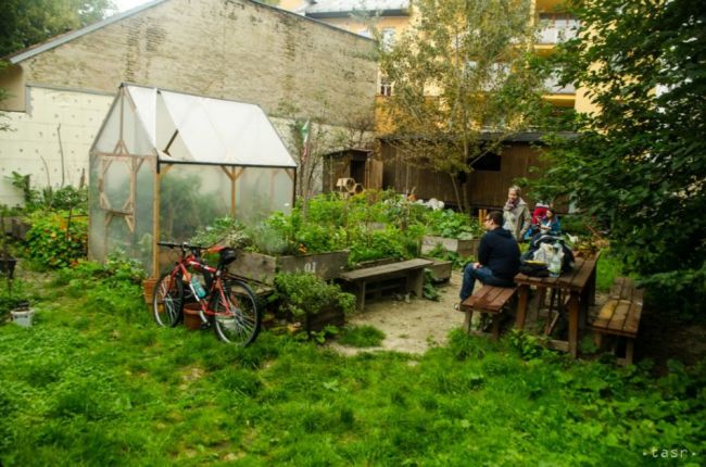 V Bratislave sa niektoré nevyužívané parcely menia na mobilné záhrady