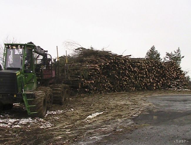 Samospráva Rimavskej Soboty mieni mestské lesy spravovať sama