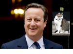 PREVRÁTIL KABÁT: Cameron odchádza, jeho kocúr ostáva na Downing Street