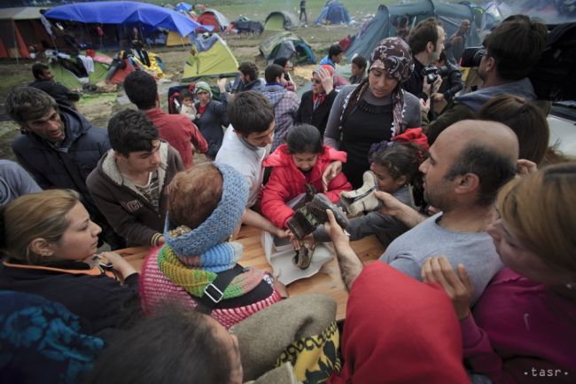 Medzinárodné organizácie zriadia centrálnu databázu o utečencoch