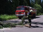 Banskobystrickí hasiči odstraňovali po nočnej búrke popadané stromy