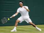 Baghdatis prvým semifinalistom turnaja ATP v Newporte