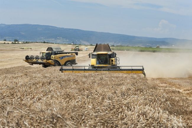 Žatva sa presunula do strednej časti Slovenska