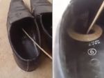 Video: Roztomilý a smrtiaci nález v topánke