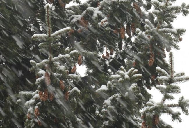 Meteorológovia: V najvyšších pohoriach nie je letný sneh nič výnimočné