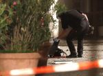 Sýrčan na bavorskom festivale odpálil nálož, zranil 12 ľudí