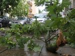 V Bratislavskom kraji zničili popadané stromy motorové vozidlá