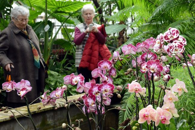 Botanická záhrada v Tatranskej Lomnici je dočasne zatvorená