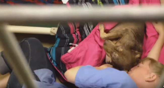 Video: Keď je človek skutočne oddaný zvieratkám 