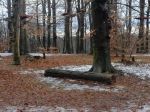Obstarávanie na bratislavský park Gaštanica ešte nie je ukončené