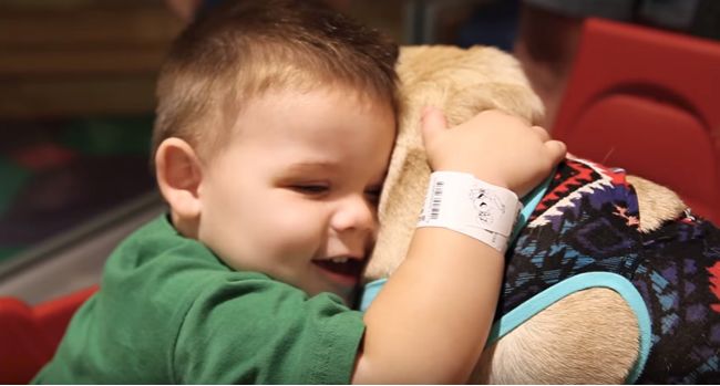 Video: Mopslík Doug potešil deti v nemocnici