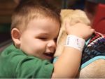 Video: Mopslík Doug potešil deti v nemocnici