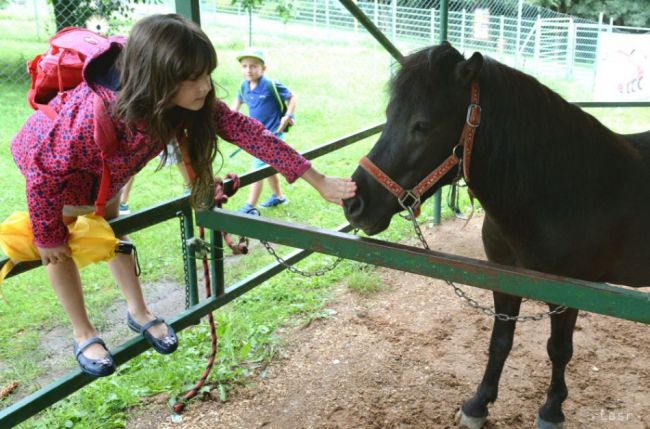 VIDEO: V prímestskom tábore Zoo Košice deti spoznávajú zvieratá