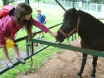 VIDEO: V prímestskom tábore Zoo Košice deti spoznávajú zvieratá