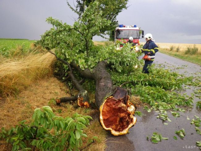 V Bánovciach nad Bebravou búrka a smršť poškodili 220 stromov