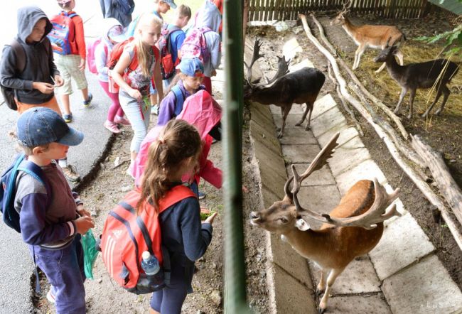 Košická ZOO prináša novinku, vzdeláva malých predškolákov