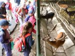 Košická ZOO prináša novinku, vzdeláva malých predškolákov